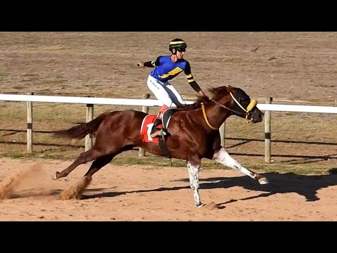 ALFARERO JF - 350m - Hipodromo Ituzaingo, Flores - 12/02/2023