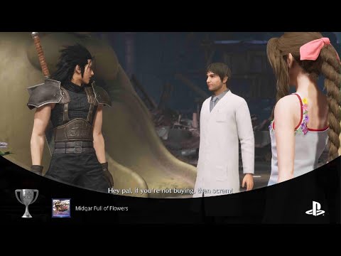 CRISIS CORE –FINAL FANTASY VII– REUNION: Midgar Full of Flowers (SILVER) Trophy