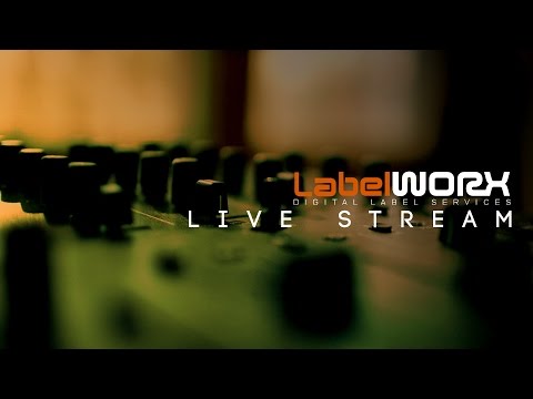 LW Live Stream - April 2016, Pt. 2