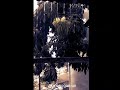Story Wa Hujan Pagi