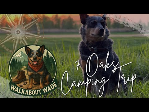 Camping with Friends in Port Clinton