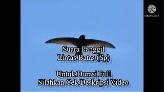 Download lagu Lintas Batas (Sp) mp3