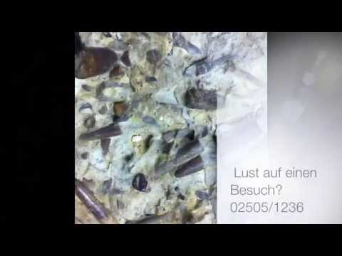 Das Ekzem auf den Händen die Behandlung von den Gräsern Als das Ekzem auf den Händen den Schwangeren zu behandeln