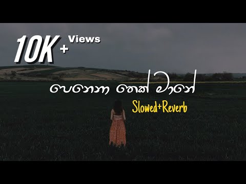 Penena Thek Mane - පෙනෙනා තෙක් මානේ (Slowed+Reverb)