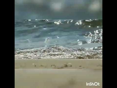 Море и чайки - Голубицкая, Азовское море