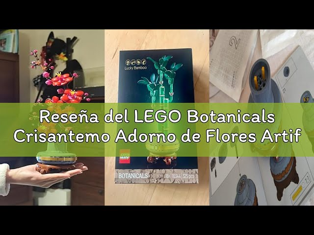 Vídeo relacionado con LEGO Botanicals Ramas de Magnolia - Maqueta para Adultos de Ramo de Flores Artificiales - 5 Magnolias para la Decoración Floral del Salón o Dormitorio - Regalo para Mujeres - 11510