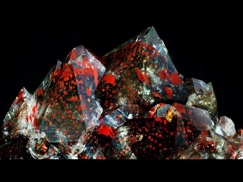 Klaus Schäfer and Raffael Schäfer