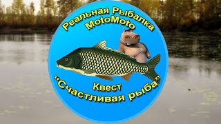 Ссылка