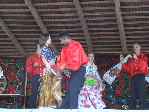 Ansamblul Doina Muresului, Reghin