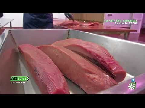Ronqueo de atún en Andalucía Directo - USISA