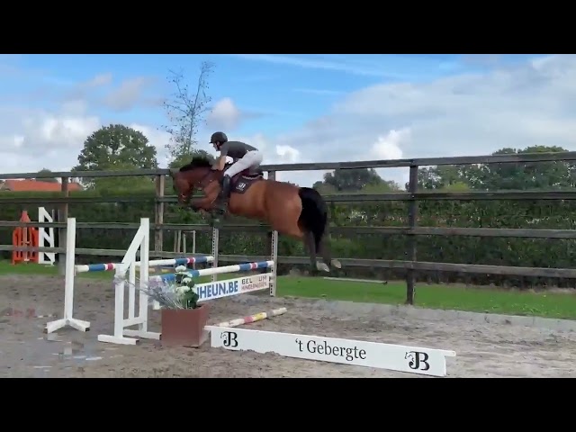 Under the saddle