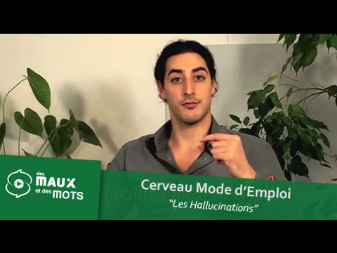 comment prendre seroplex 10 mg
