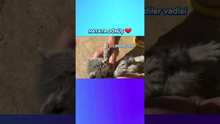 [問卦] 哈哈！阿北這下真的完蛋了！