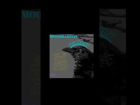 Crow riddim_Rk Only. (# moombahton)