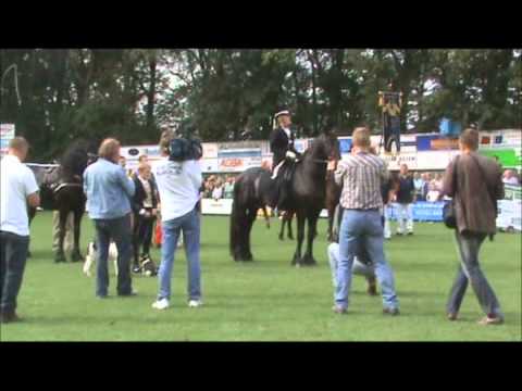 OKK Beetgum, Paardenshow Van Aismapartij 2010.wmv