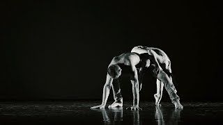 Die Trying - Michl | Keos Dance Project