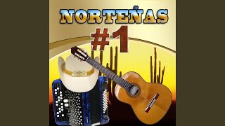 Vida Prestada (Miguel Y Miguel)