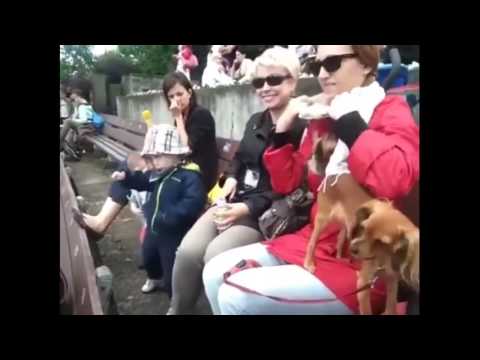 Dzieciak wymiata, myślę że na Sandecji też by się przydało | nshumor.pl