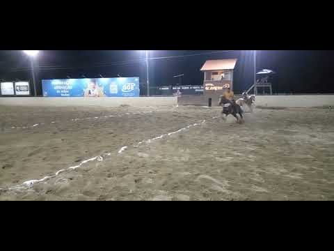 Acompanhe á classificação categoria aspirante parque bm Riachão do bacamarte pb copa bolero de vaque