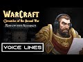 Chronicles of the Second War - Alliance Hero Voices