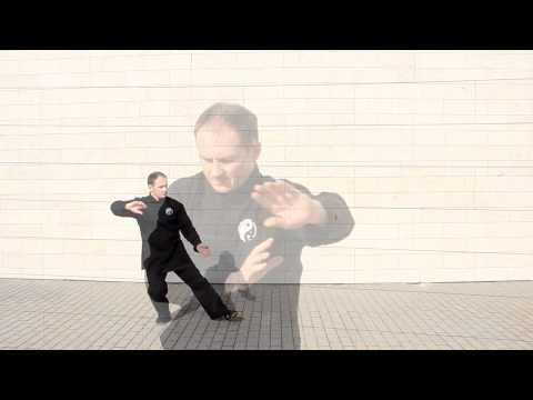 Chen Taijiquan/ Čen Tai Dzi Ciuan/ 陳式太極拳/ LSTUF