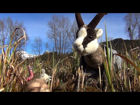 Hauptkommissar Gams' 2  Fall  -  Der Winterdieb