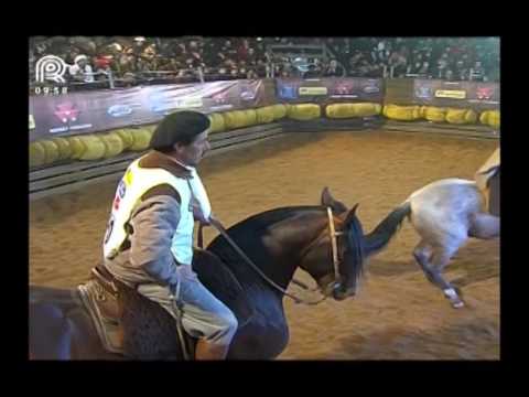 Sul RS – 3° lugar machos – RZ Assim És Embustero da Carapuça-Te