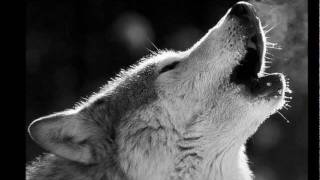 Nightrage - The Howls of The Wolves