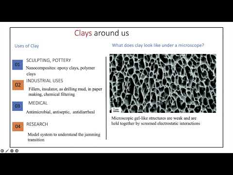 Prof. Ranjini Bandyopadhyay