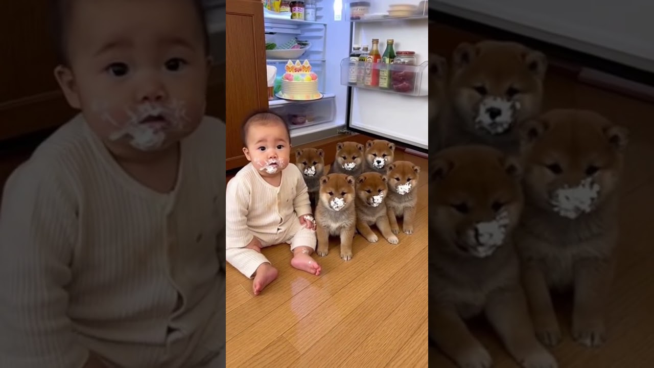 小さな指さし、大きなドラマ。#柴犬 #ショート動画 #かわいい #sora2