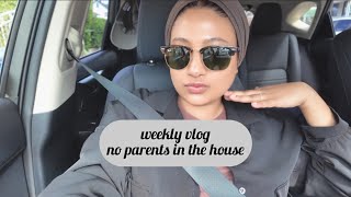 VLOG✨Target Run, New Plants