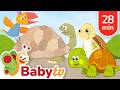 Turtles Tortoises Animal Facts For Toddlers BabyTV