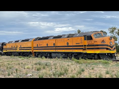 Vintage EMD Streamliners on a Grain Train
