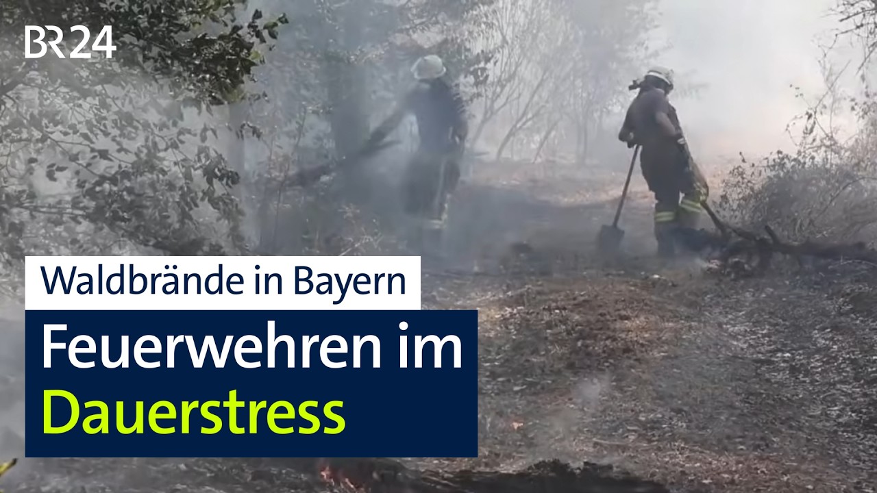 Waldbrände: Die Feuerwehren in Franken haben derzeit alle Hände voll zu tun | BR24