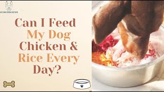 Can I Feed My Dog Chicken & Rice Every Day?