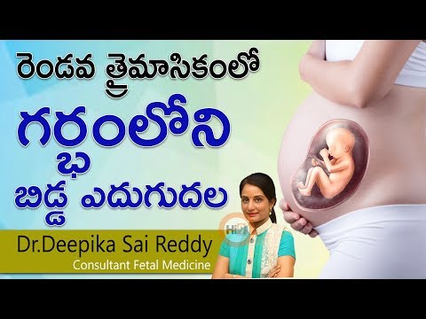 రెండవ త్రైమాసికంలో గర్భం లోని బిడ్డ ఎదుగుదల - dr deepika saireddy - consultant fetal medicine
