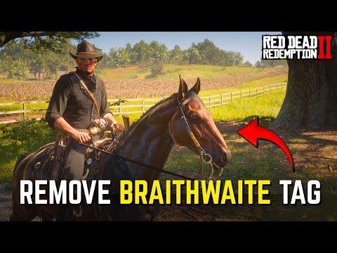 RDR2: How to Remove B Marker from Turkoman