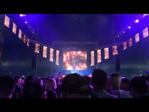 bravo - factor b subculture 2022