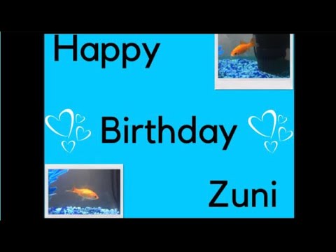 Happy Birthday Zuni 💕