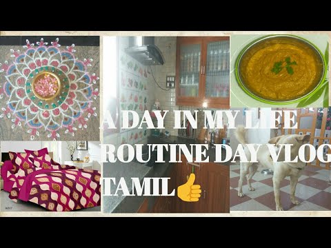 Tensionfree Fullday  Routine//Preplanning//My 1st DIML Vlog//Time Management tips Video