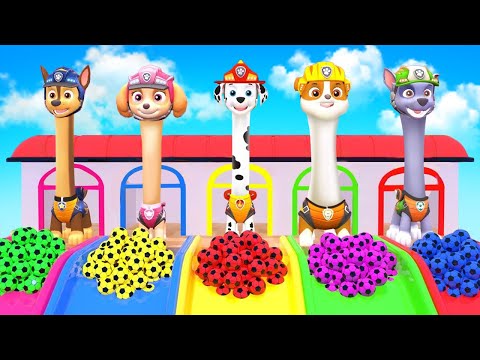PAW Patrol Animal Long Slide Game Funny ESCAPE ROOM CHALLENGE Cow Elephant Gorilla Lion Tiger