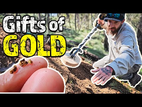 Working & Metal Detecting a Gold Ore Body