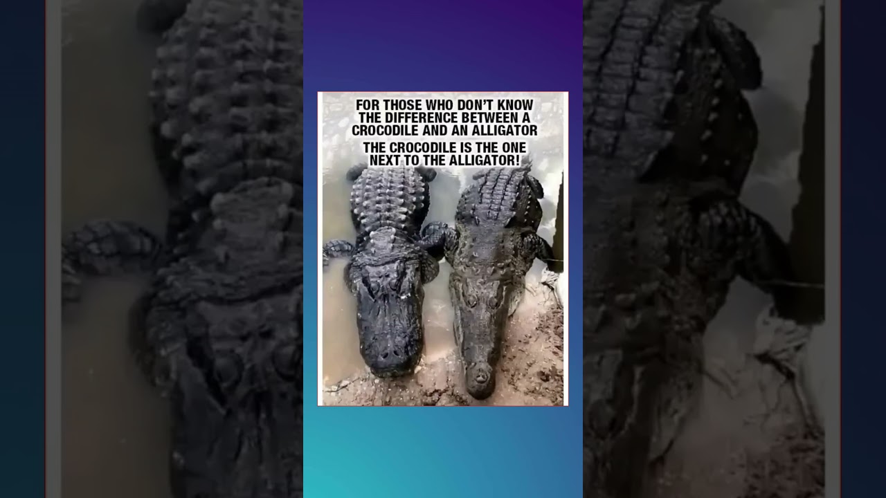 technically correct memes part 164 #technicallycorrect #memes