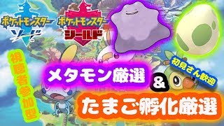 【ポケモン剣盾】メタモン厳選しながら孵化厳選！　視聴者参加型