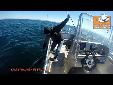 Saltstraumen Festival 2018