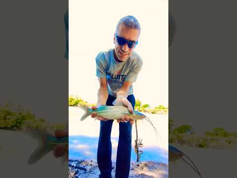 Pescando RIO CARCARAÑA, Santa Fe. #fishing #lineadepesca #pesca