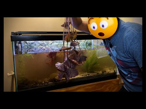 The Deconstruction Begins