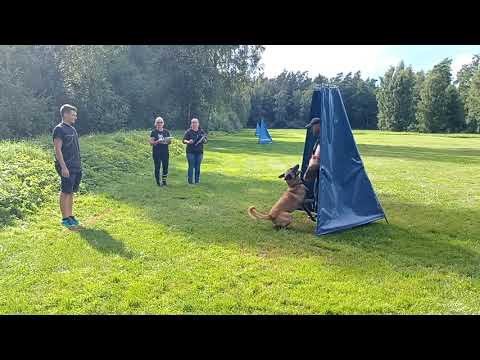 Yuno Oger Schloss. SPr1 (97)