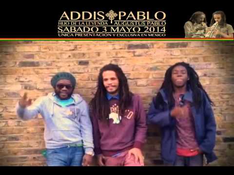 ADDIS PABLO SUNS OF DUB EN MEXICO  3 MAYO 2014 HERMANDAD RASTA SOUND SYSTEM