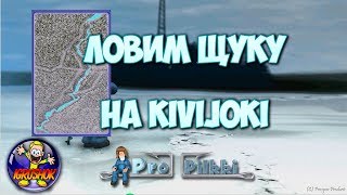 На что и когда ловить окуня в propilkki2